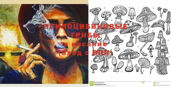 шишки Богородицк
