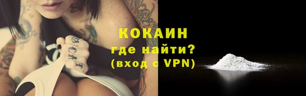 шишки Богородицк