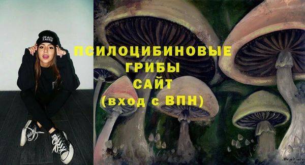 мдма Богданович