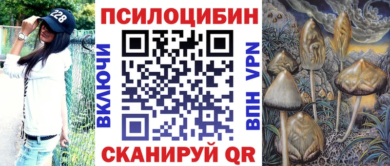 Псилоцибиновые грибы мицелий  кракен как зайти  Гремячинск 
